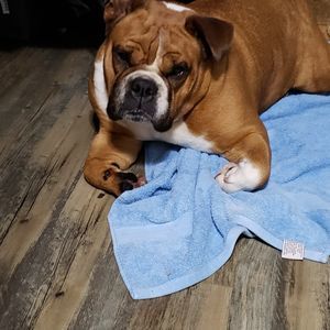 Meet your Posher, Bryan